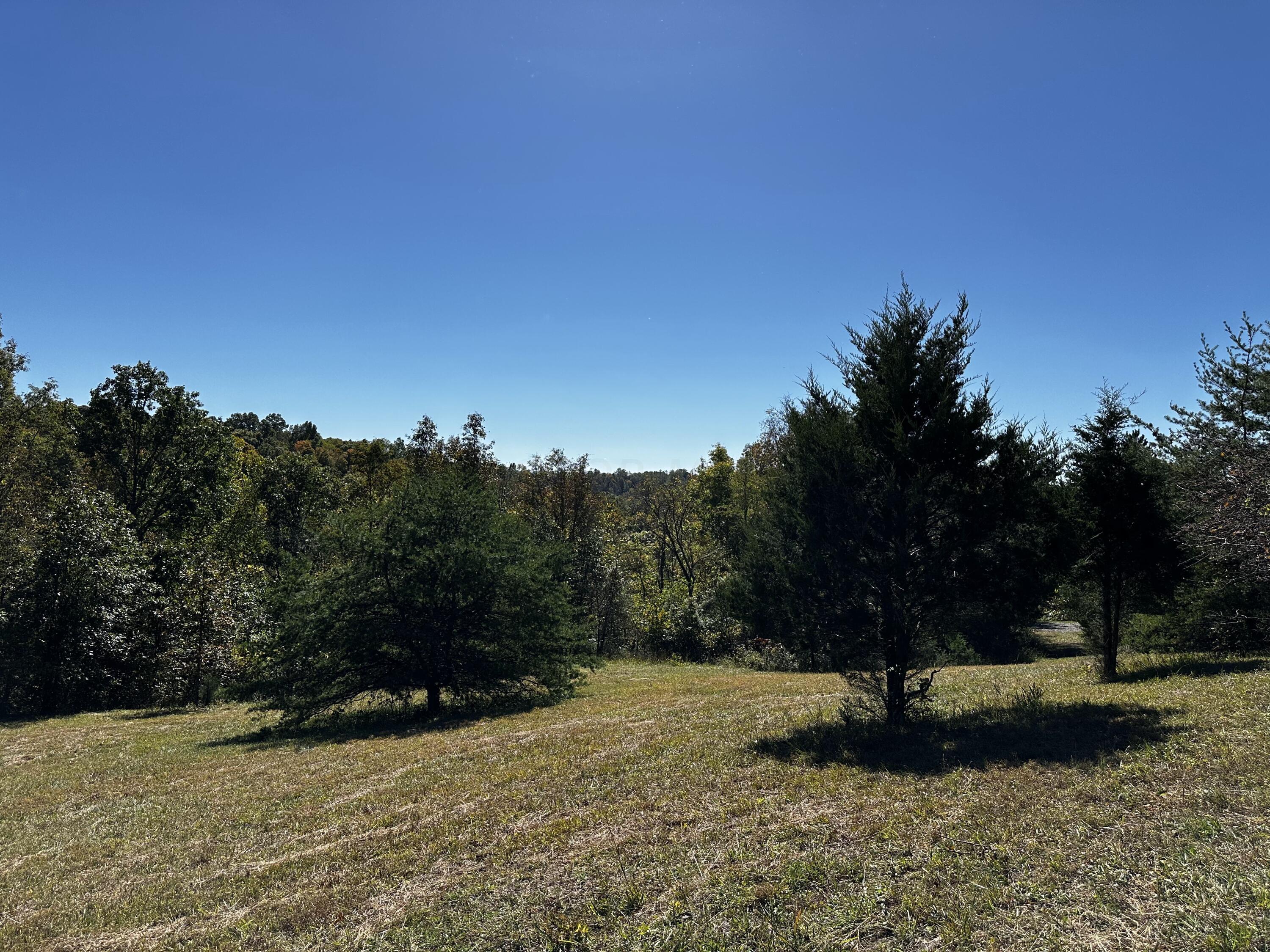 865 Hull Road, Unit TRACT 13 WOODS WAYNE FOREST) Patriot, OH 45658 - Photo 40 of 57 20241008_175556409_iOS