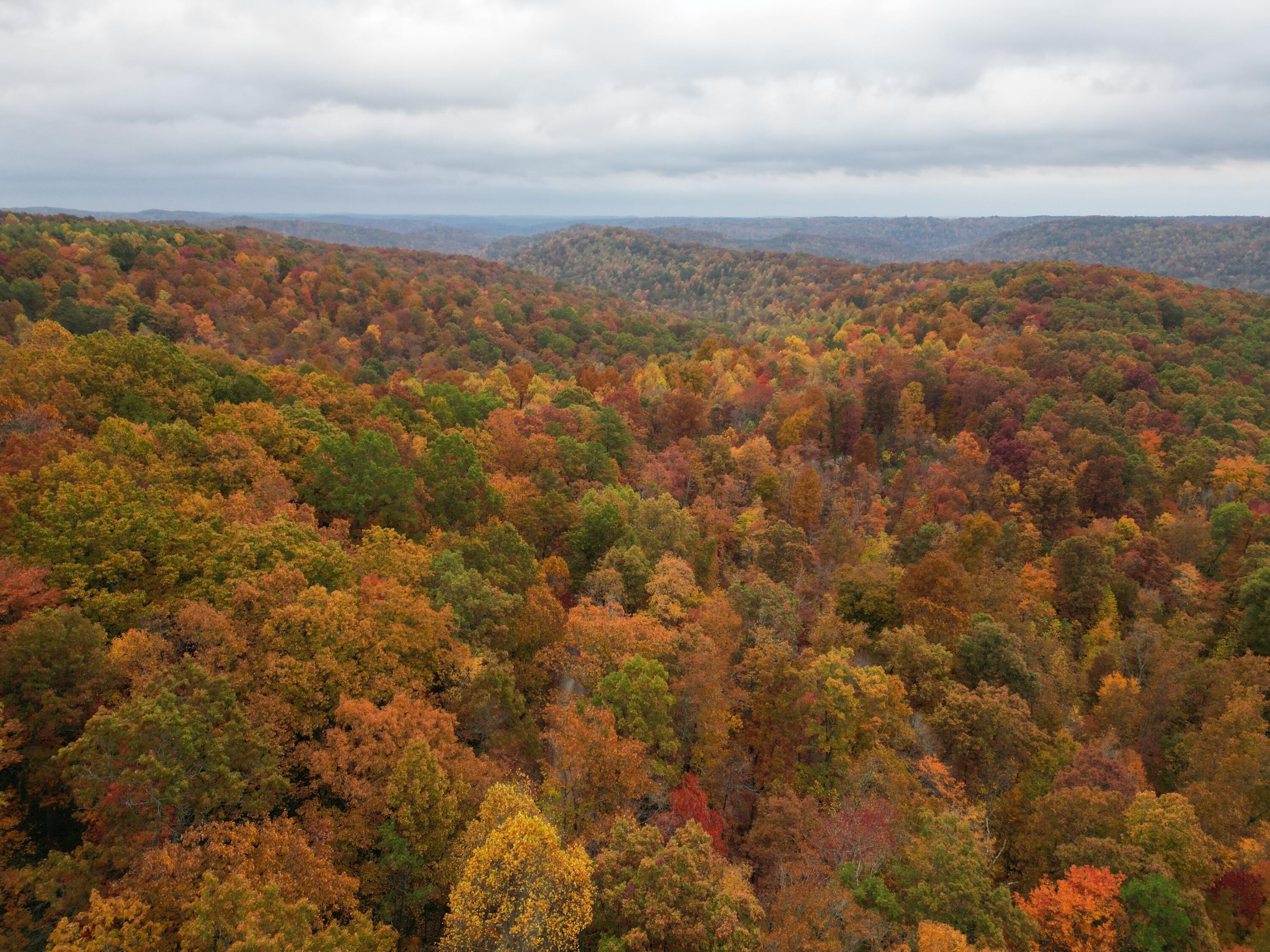 0 Shady Grove Road Mount Vernon, KY 40456 - Photo 1 of 24 dji_fly_20221016_162358_39_1665952594912
