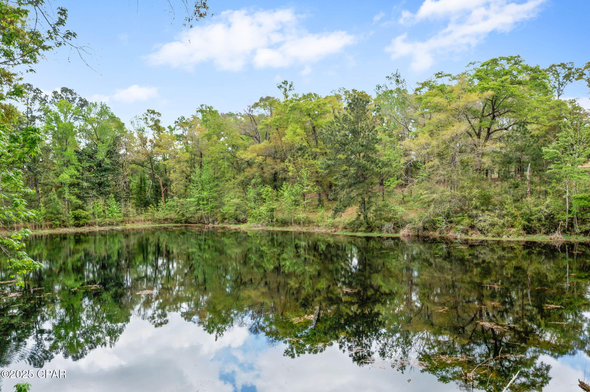 3426 Spring Lakes Drive Chipley, FL 32428 - Photo 2 of 40