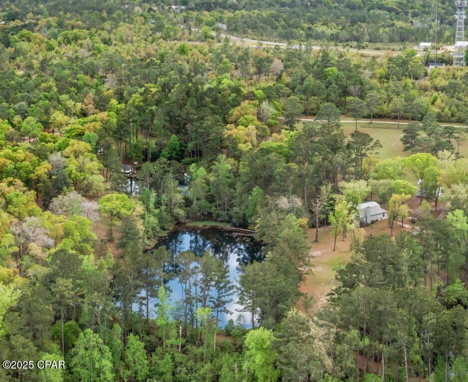 3426 Spring Lakes Drive Chipley, FL 32428 - Photo 3 of 40