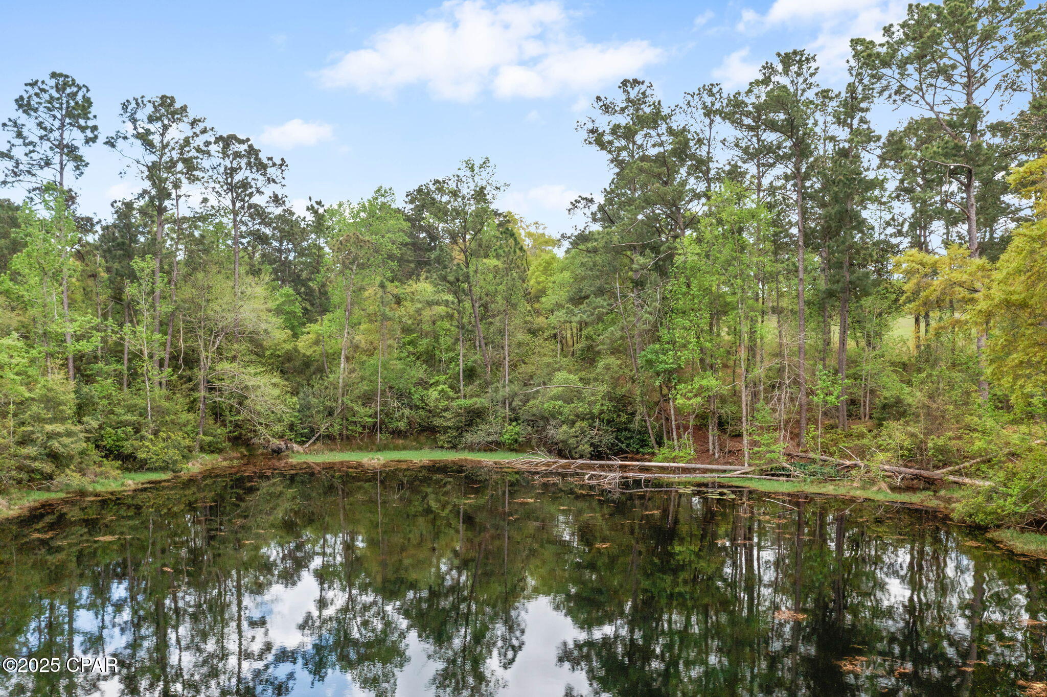 3426 Spring Lakes Drive Chipley, FL 32428 - Photo 33 of 40