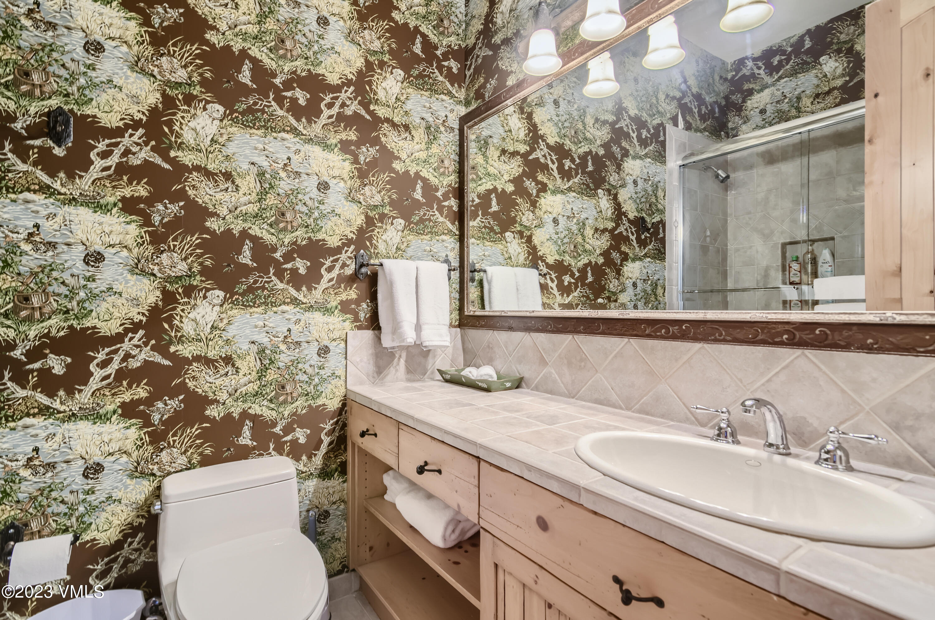 75 Bearcat Point Edwards, CO 81632 - Photo 25 of 49 43 Lower Level Bathroom