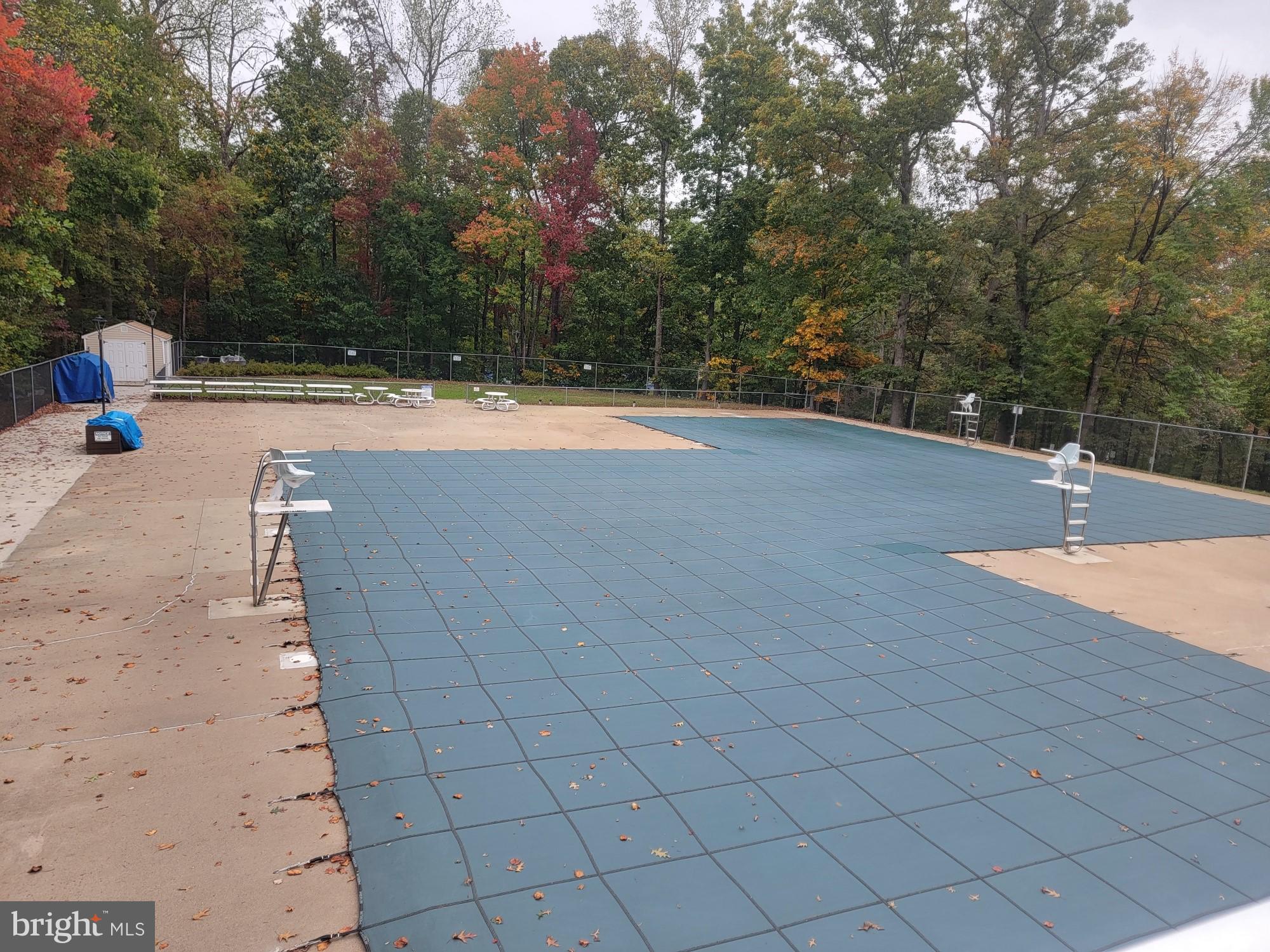 8312 Brookvale Court Springfield, VA 22153 - Photo 39 of 41 Community Pool