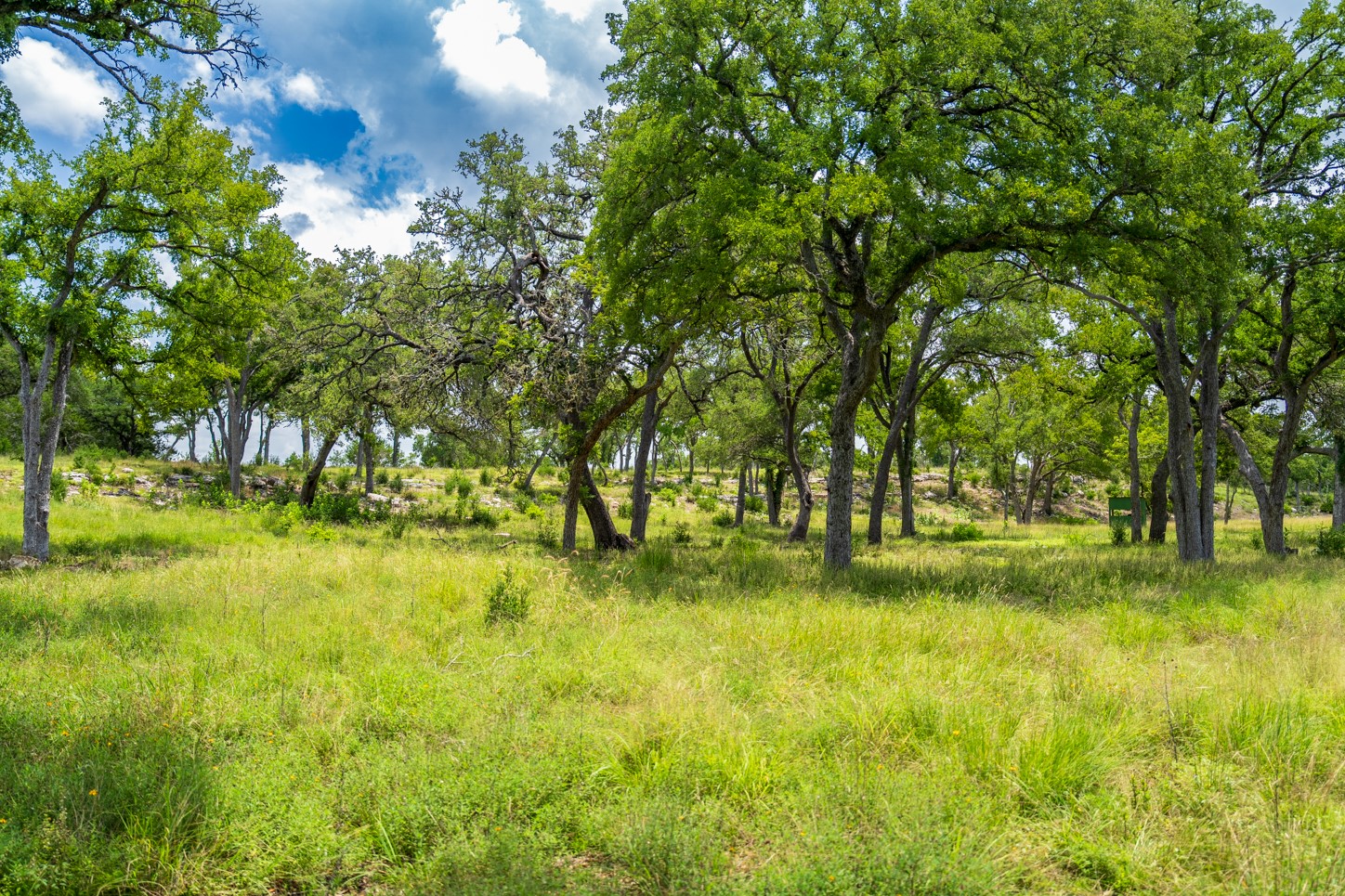 3979 Chimney Valley Road Blanco, TX 78606 - Photo 30 of 34 a yard with trees in the background