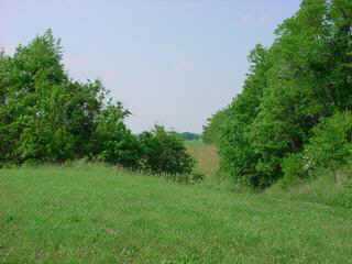 0 Southwest Cincinnati-Zanesville Road Southwest Amanda, OH 43102 - Photo 1 of 4