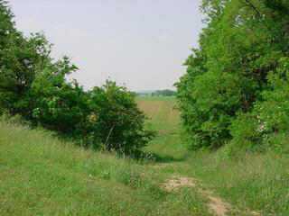 0 Southwest Cincinnati-Zanesville Road Southwest Amanda, OH 43102 - Photo 2 of 4