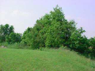 0 Southwest Cincinnati-Zanesville Road Southwest Amanda, OH 43102 - Photo 3 of 4
