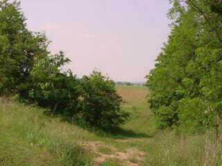 0 Southwest Cincinnati-Zanesville Road Southwest Amanda, OH 43102 - Photo 4 of 4