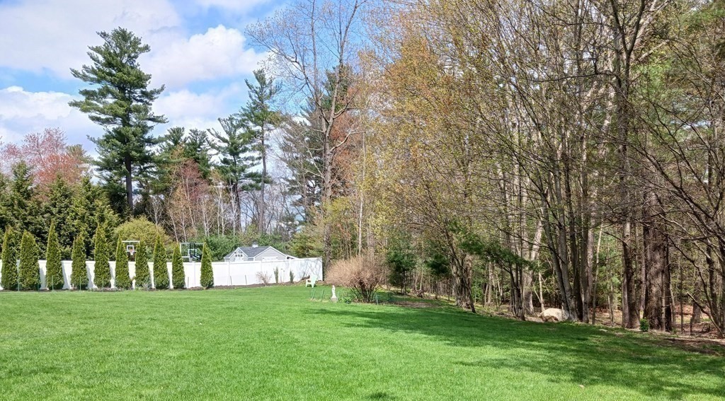 6 Winn Road Nashua, NH 03062 - Photo 6 of 33 a view of a garden
