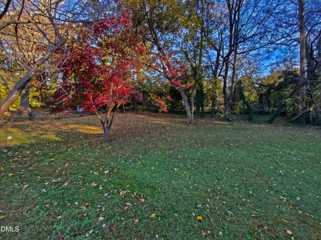 a view of a tree in front of a house