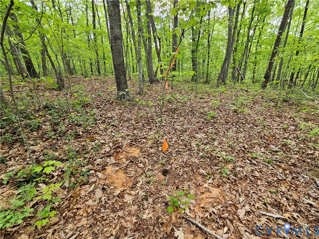 3.1-ac Axtell Road Howardsville, VA 24562 - Photo 5 of 13 a view of outdoor space and trees