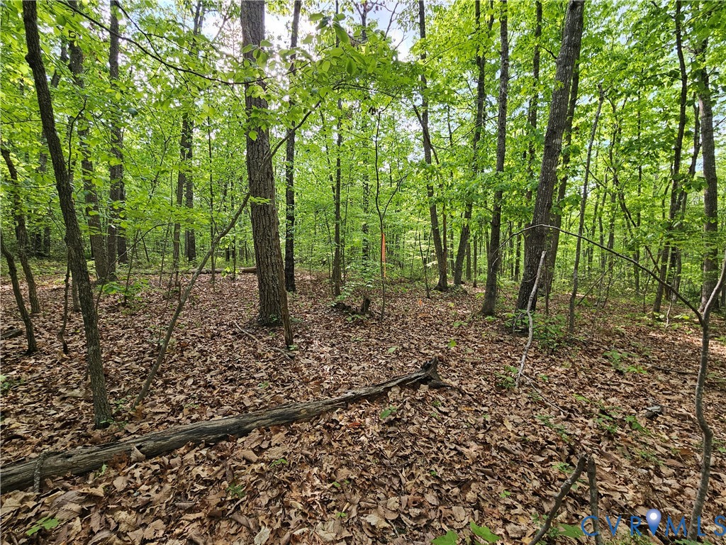 3.1-ac Axtell Road Howardsville, VA 24562 - Photo 6 of 13