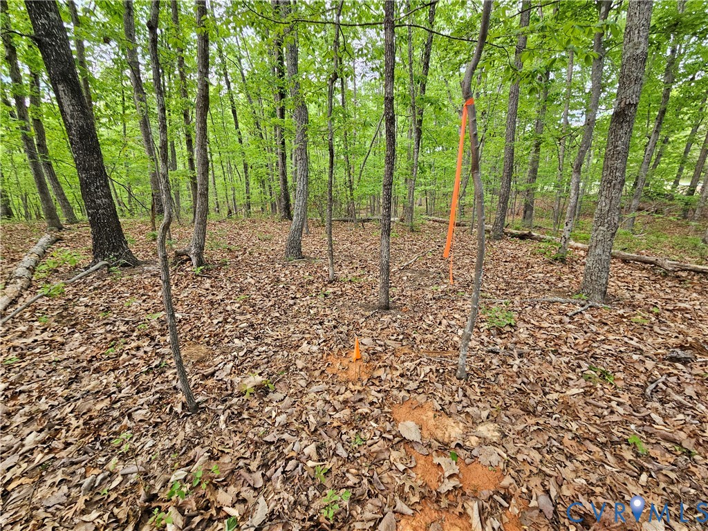 3.1-ac Axtell Road Howardsville, VA 24562 - Photo 7 of 13 a view of a forest with trees in the background