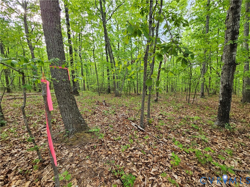 3.1-ac Axtell Road Howardsville, VA 24562 - Photo 8 of 13 a view of a park with a tree