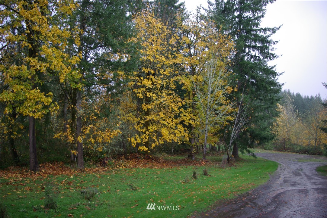 1000 Walker Road Kelso, WA 98626 - Photo 5 of 9 Gallery Image 5