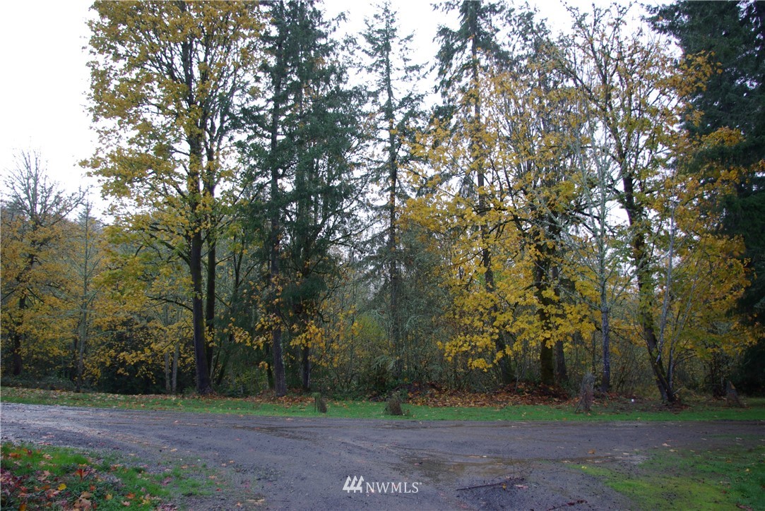 1000 Walker Road Kelso, WA 98626 - Photo 7 of 9 Gallery Image 7