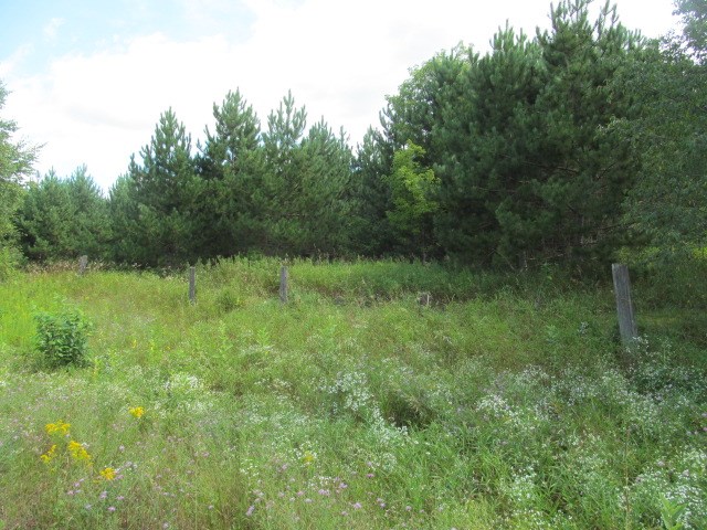 10-acres North Merryland Road Rosholt, WI 54473 - Photo 1 of 1