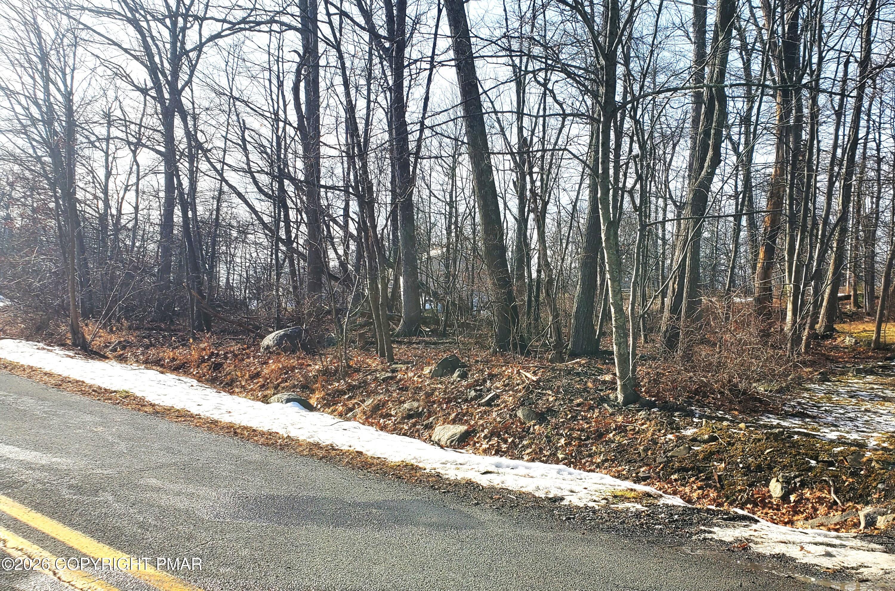 Lot 53 Walnut Trail Bushkill, PA 18324 - Photo 6 of 7 a view of a backyard with trees