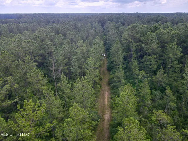$298,650 | Sones Chapel Rd Road, Carriere, MS 39426