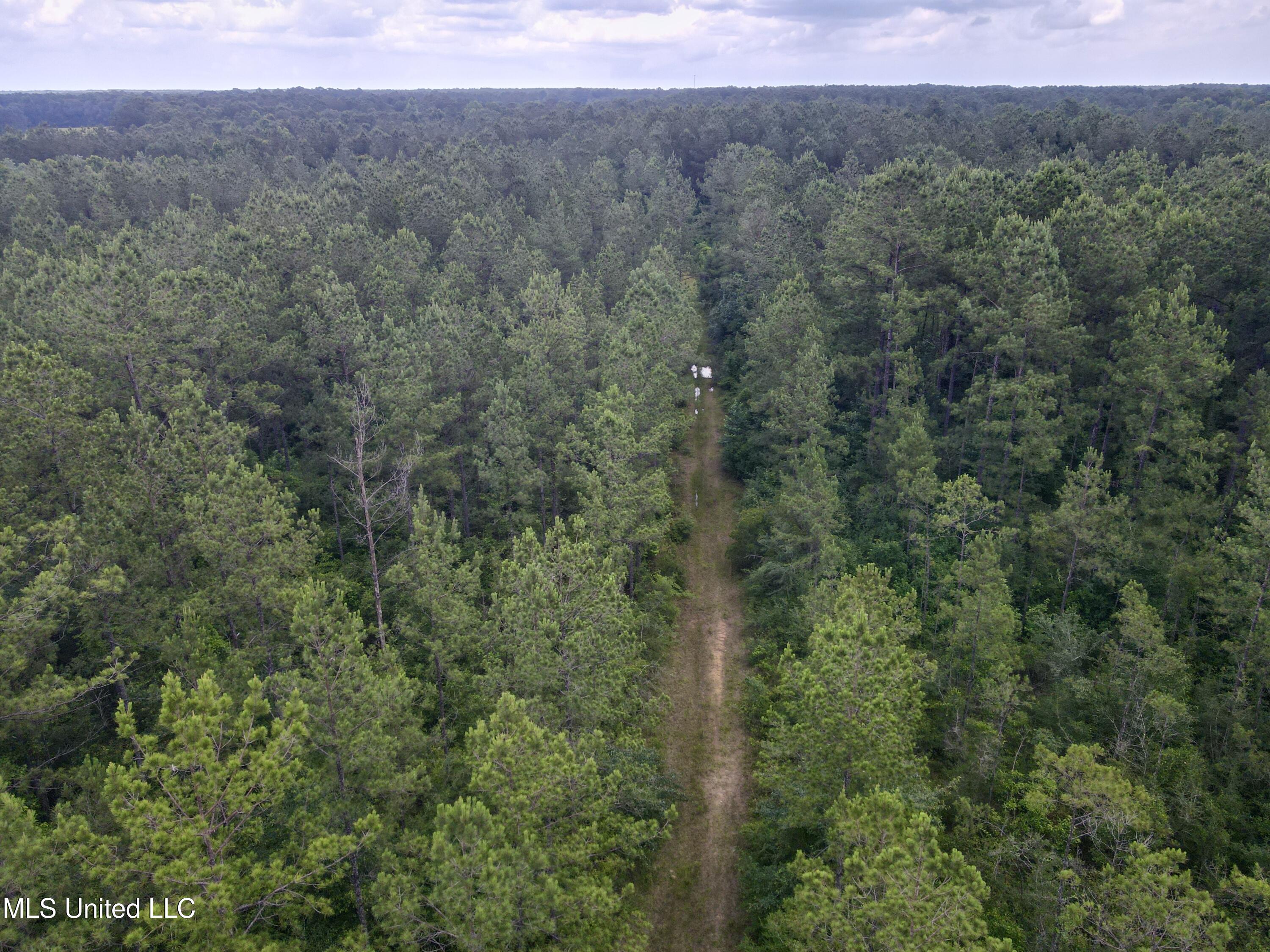 Sones Chapel Rd Road Carriere, MS 39426 - Photo 11 of 12 dji_fly_20250610_141924_372_174958318082