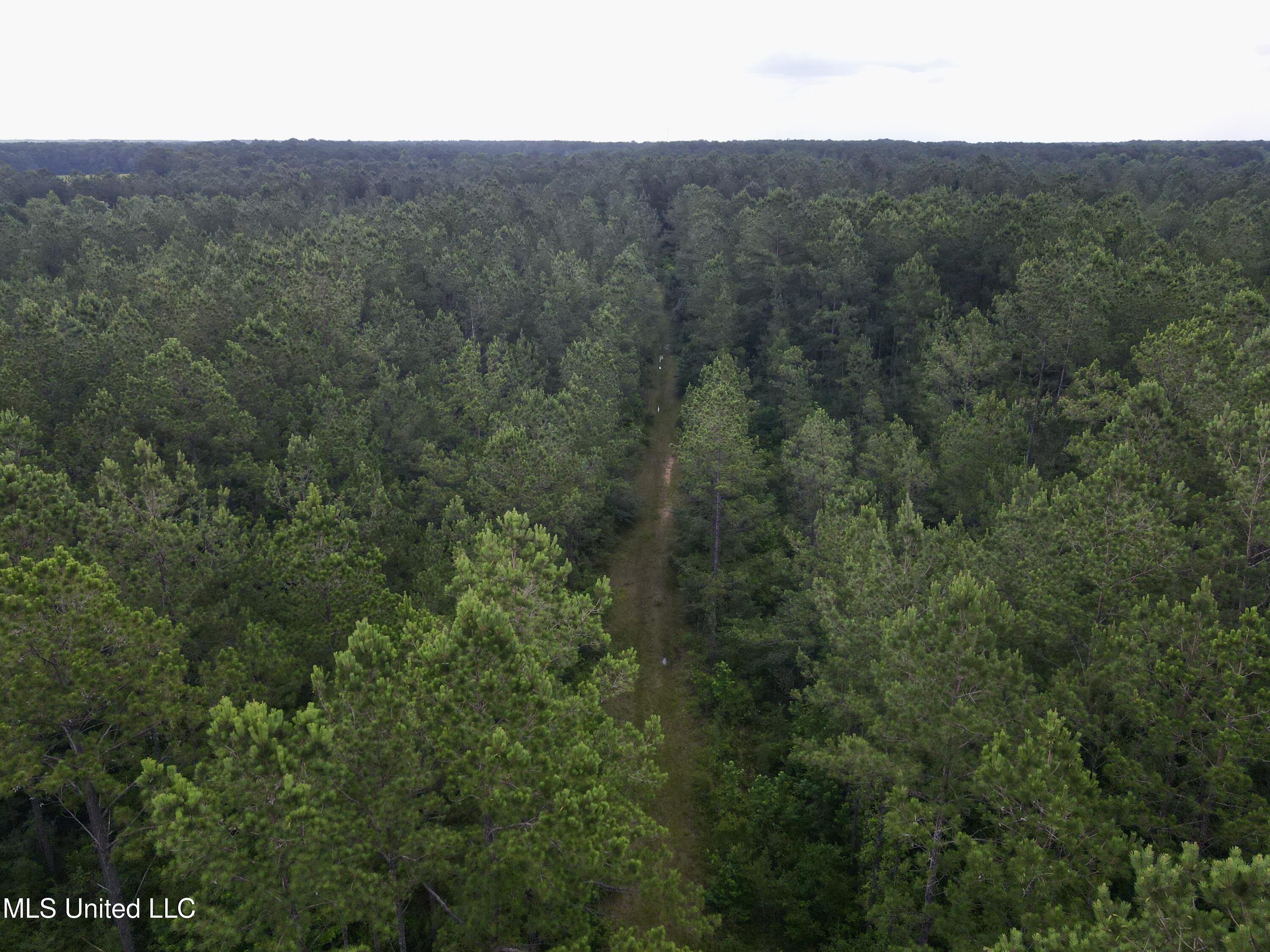 Sones Chapel Rd Road Carriere, MS 39426 - Photo 12 of 12 dji_fly_20250610_141944_373_174958319336