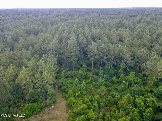 $298,650 | Sones Chapel Rd Road, Carriere, MS 39426