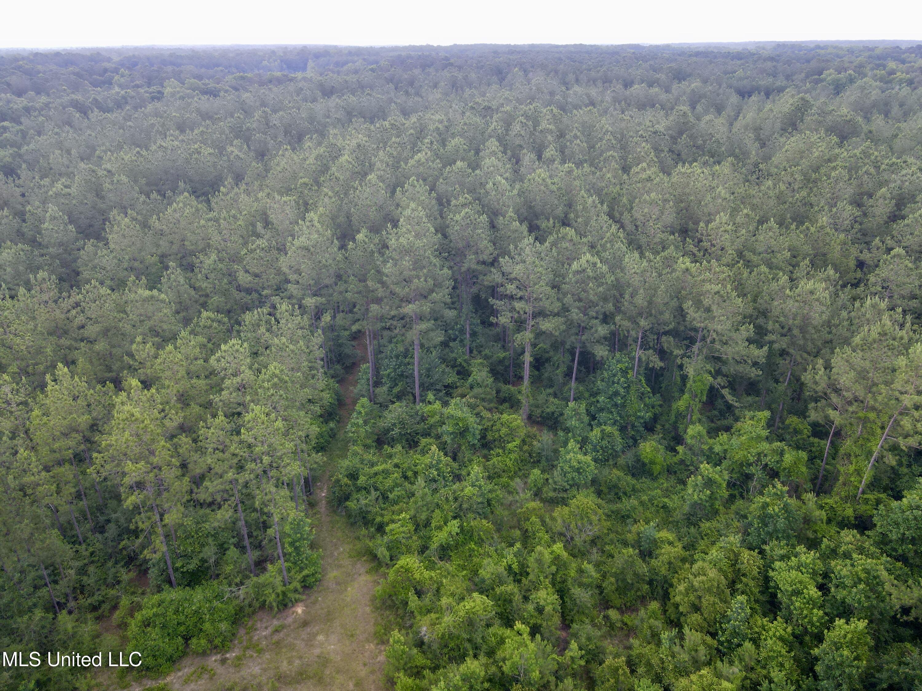 Sones Chapel Rd Road Carriere, MS 39426 - Photo 2 of 12 dji_fly_20250610_142004_374_174958321371