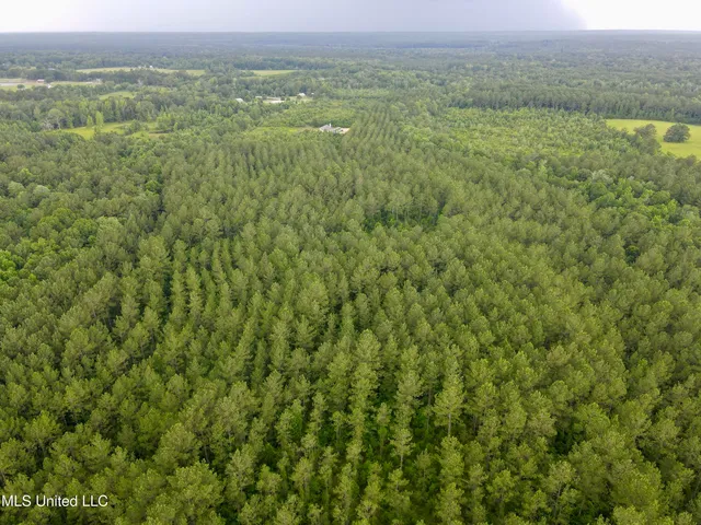 $298,650 | Sones Chapel Rd Road, Carriere, MS 39426