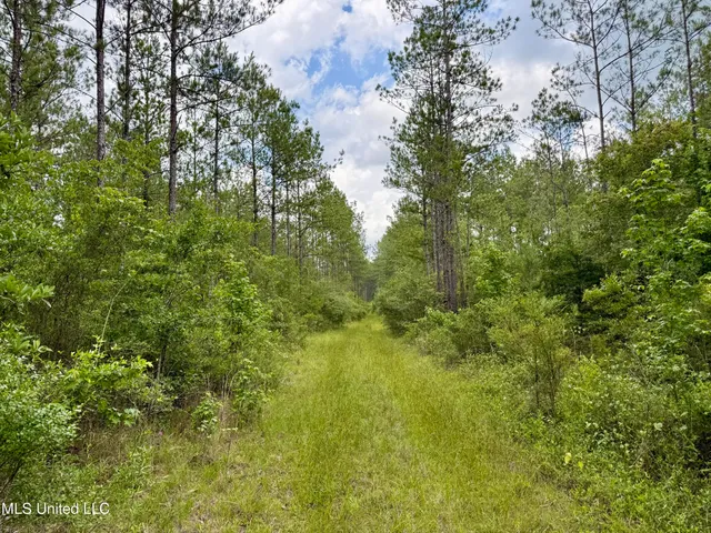 $298,650 | Sones Chapel Rd Road, Carriere, MS 39426