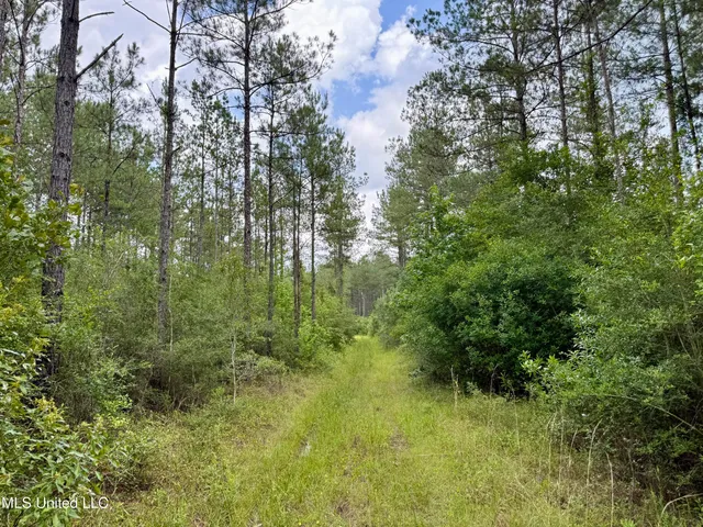 $298,650 | Sones Chapel Rd Road, Carriere, MS 39426