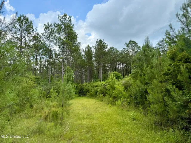$298,650 | Sones Chapel Rd Road, Carriere, MS 39426