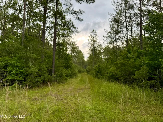 $298,650 | Sones Chapel Rd Road, Carriere, MS 39426