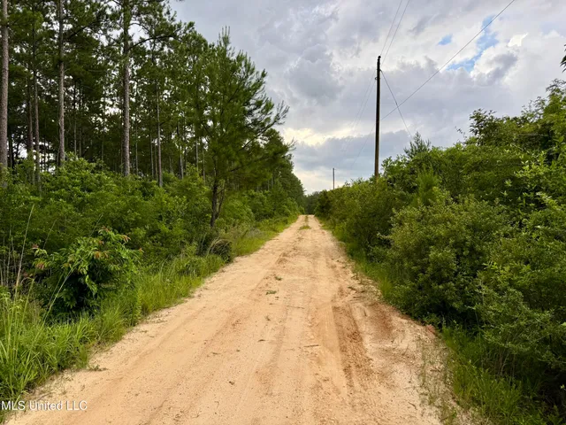$298,650 | Sones Chapel Rd Road, Carriere, MS 39426