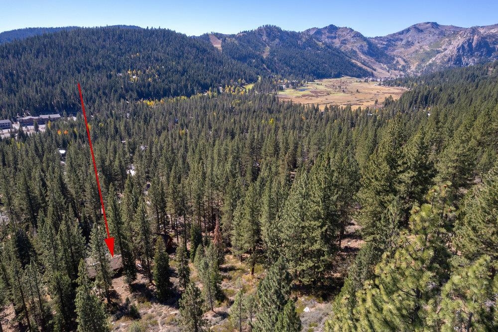 138 Tiger Tail Road Olympic Valley, CA 96146 - Photo 2 of 28 a view of a forest with a tree in a field