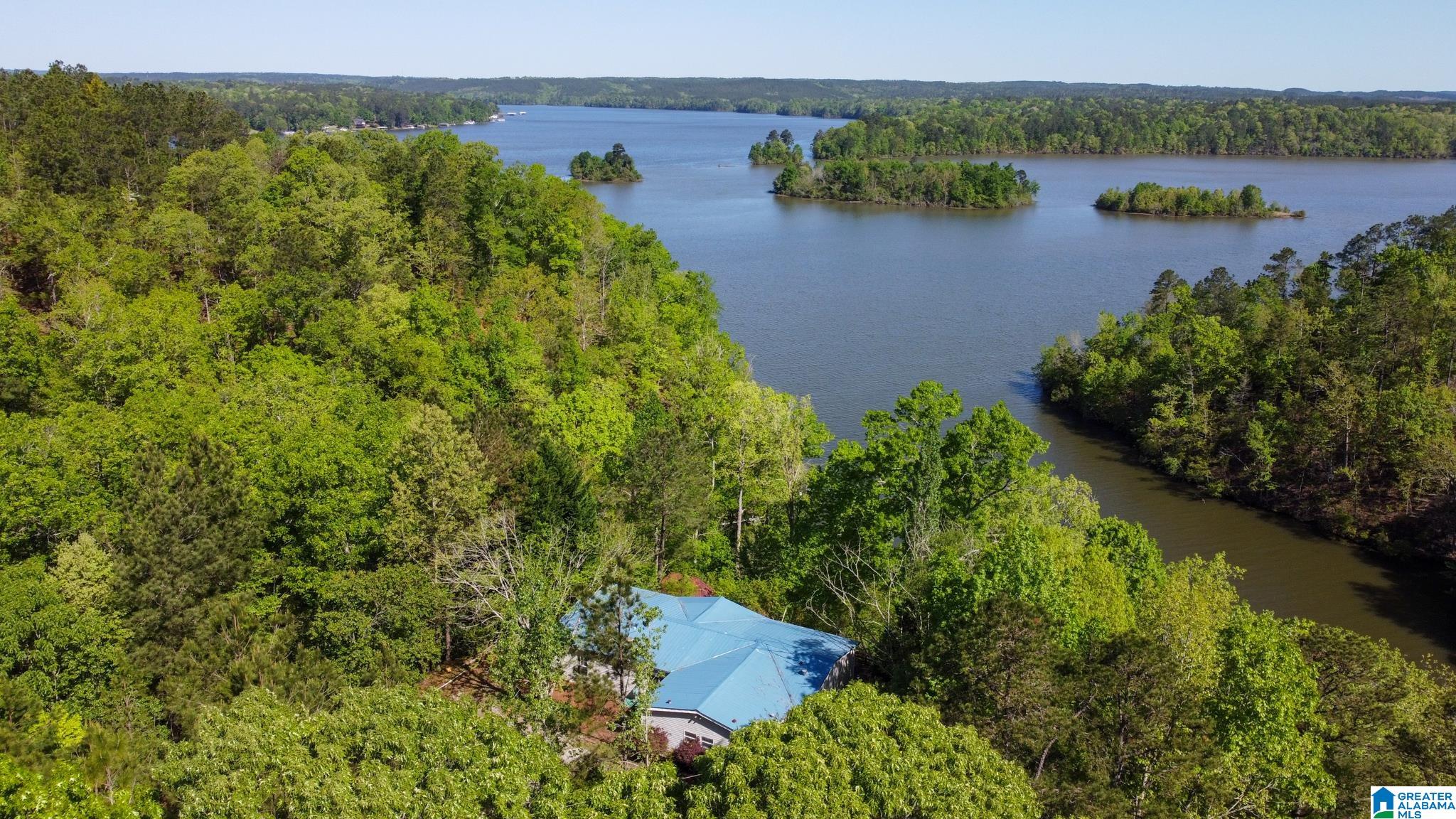517 Indian Springs Road Rockford, AL 35136 - Photo 26 of 39