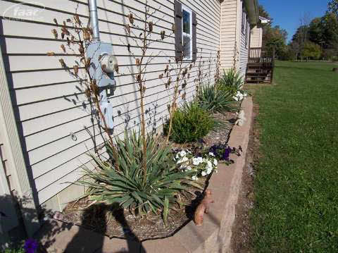 6396 Chicago Road Flushing, MI 48433 - Photo 3 of 36 20421614-2.JPG