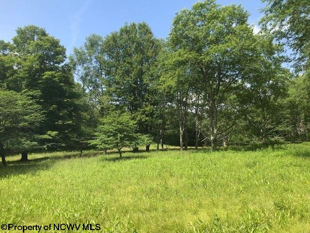 Lot 21 Deer Ridge Davis, WV 26260 - Photo 3 of 16 Gallery Image 3