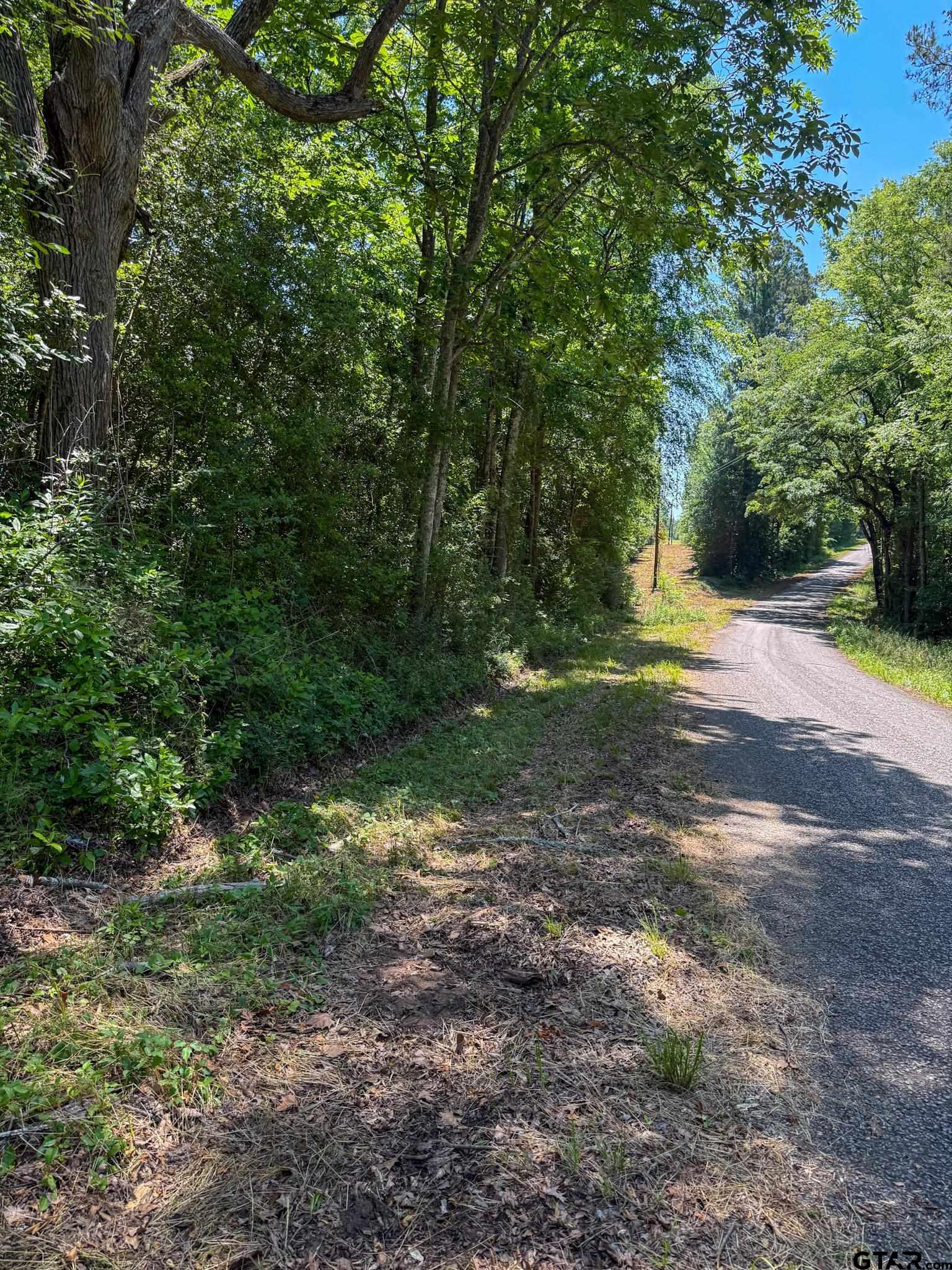 1329 C R 2112 Rusk, TX 75785 - Photo 6 of 13 a view of outdoor space with trees all around