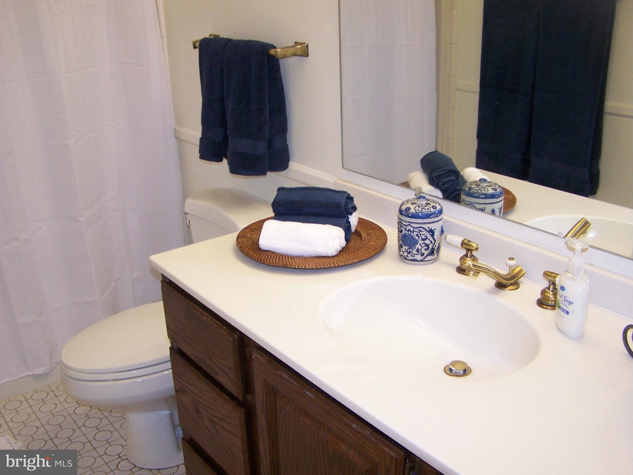 3603 Edelmar Terrace, Unit 130 Silver Spring, MD 20906 - Photo 17 of 25 Bath