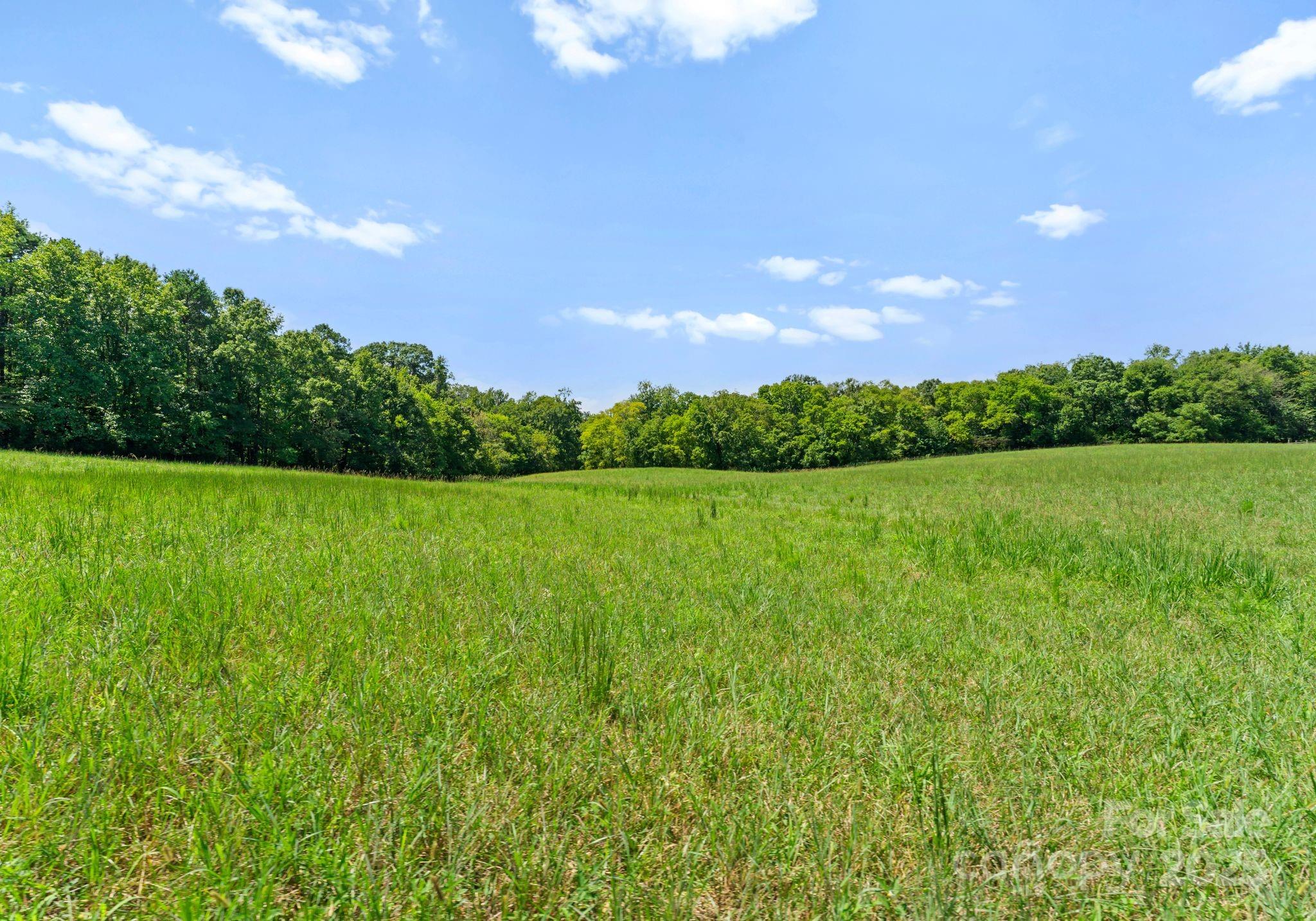 315 Brief Road West Indian Trail, NC 28079 - Photo 47 of 48