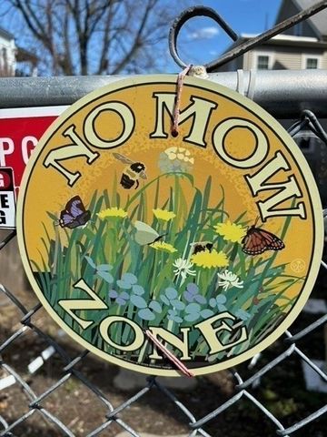 a view of a backyard with a deck