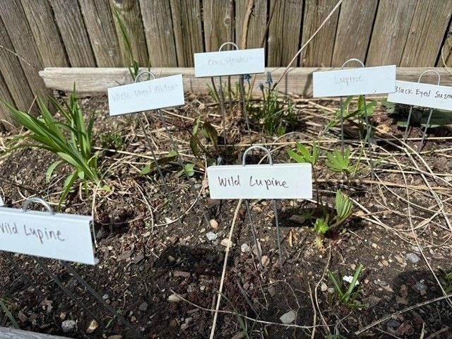 a view of a car park in front of a building