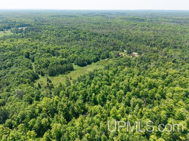 509 Dukes Road Skandia, MI 49885 - Photo 45 of 63