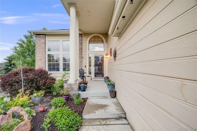 a potted plant sitting in front of a house