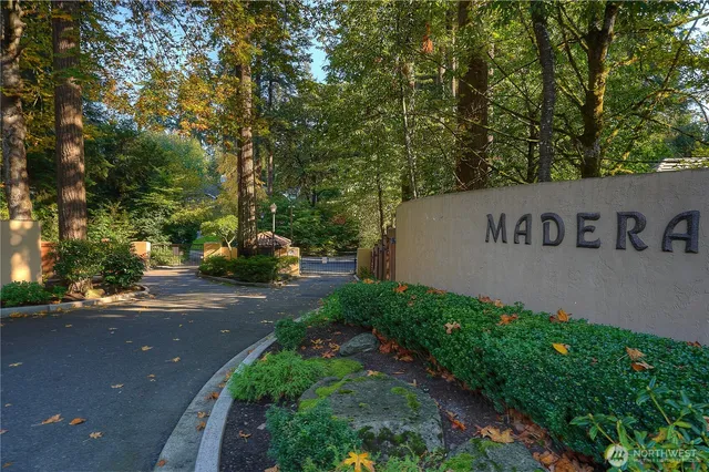 a view of a street with potted plants and large trees