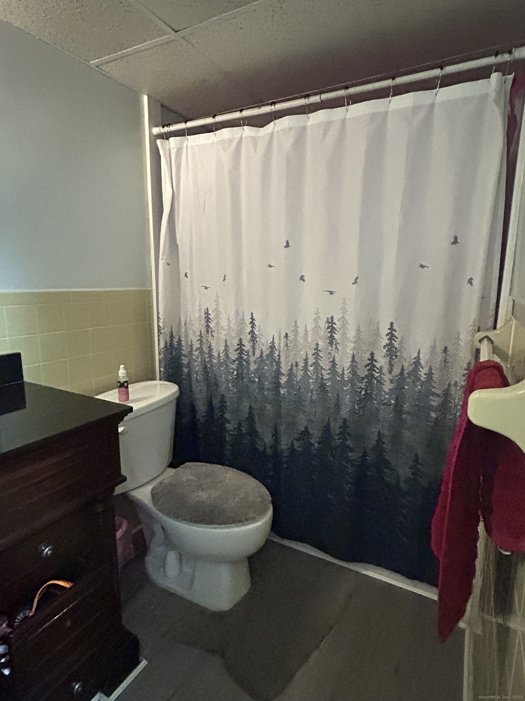 126 Triangle Street, Unit B13 Danbury, CT 06810 - Photo 22 of 29 a bathroom with a toilet and a shower curtain