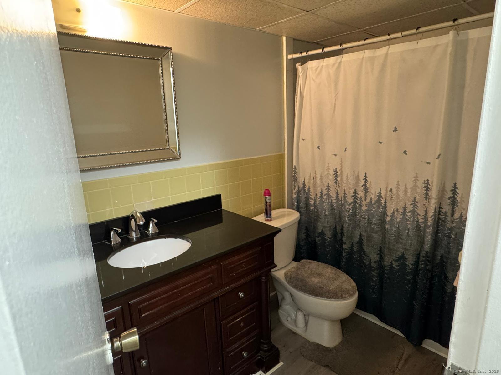 126 Triangle Street, Unit B13 Danbury, CT 06810 - Photo 23 of 29 a bathroom with a sink a toilet and a mirror