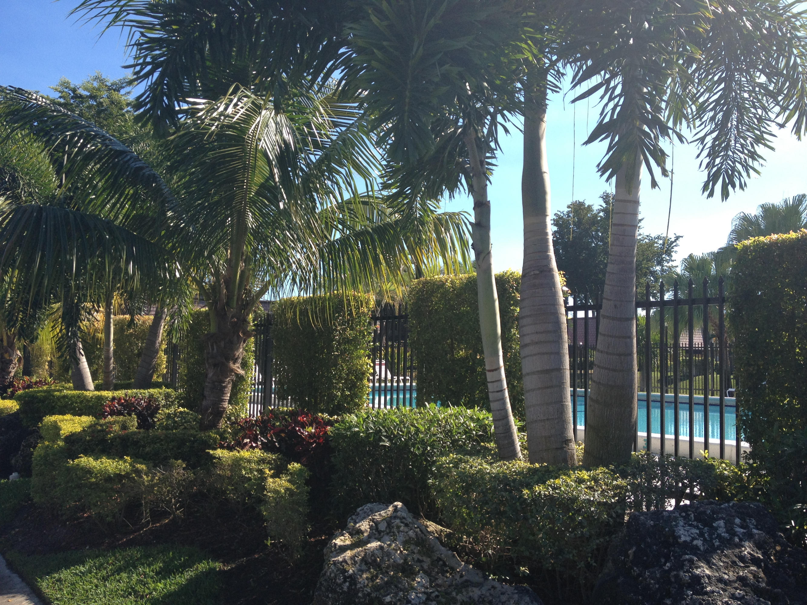 7669 Courtyard Run West Boca Raton, FL 33433 - Photo 5 of 15 7669 Community Pool Area