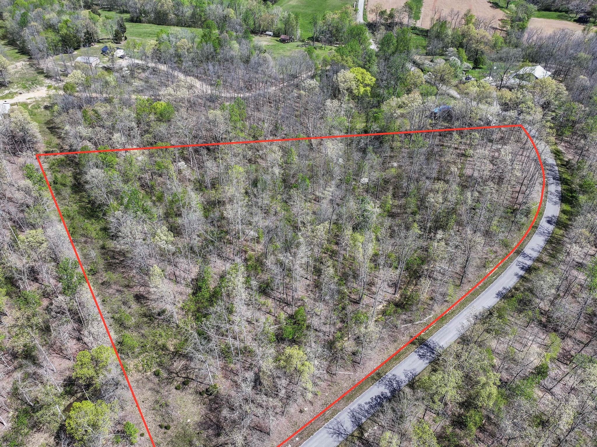 0 Slaughter Road Santa Fe, TN 38482 - Photo 2 of 7 a small garden view