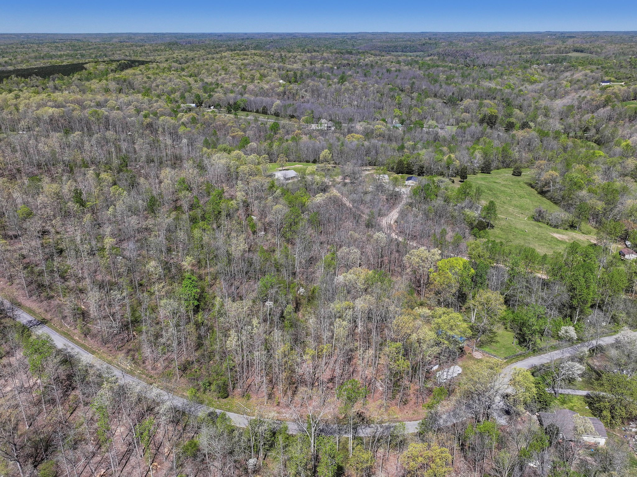 0 Slaughter Road Santa Fe, TN 38482 - Photo 4 of 7 a view of a field with a forest